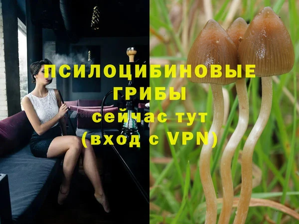 мескалин Алексеевка