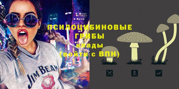 тгк Алексин